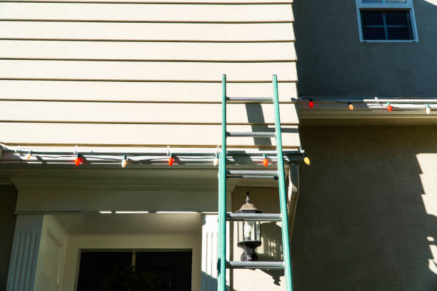 Best Steel Siding Installation  in Newark, CA